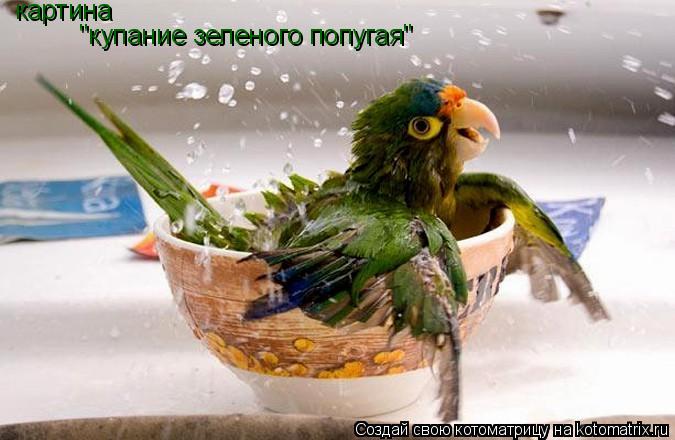 "купание зеленого попугая" картина... Котоматрица: "купание зеленого попугая" картина