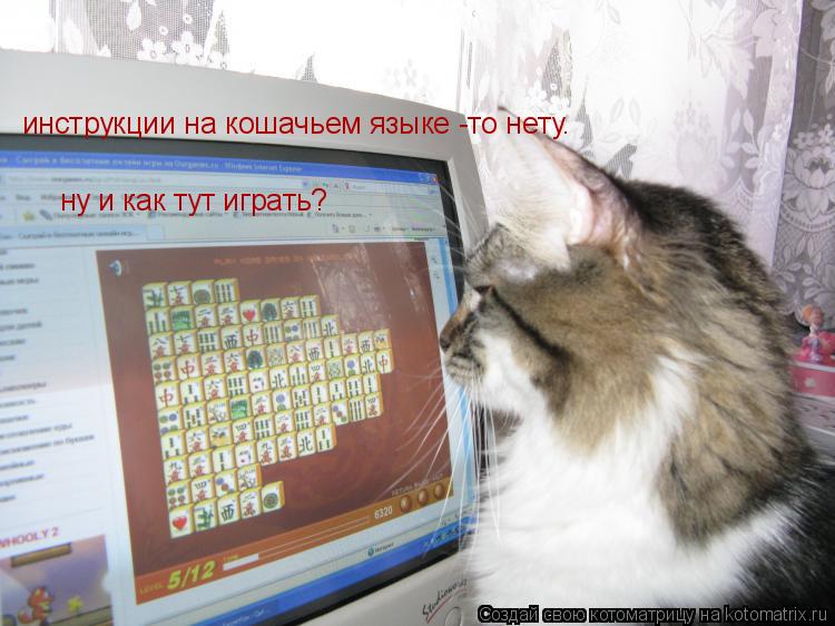 ну и как тут играть? инструкции на кошачьем языке -то нету.... Котоматрица: ну и как тут играть? инструкции на кошачьем языке -то нету.