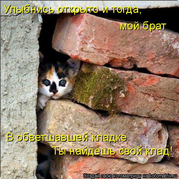 Ты найдешь свой клад! В обветшавшей кладке Улыбнись открыто и тогда, мой брат... Котоматрица: Ты найдешь свой клад! В обветшавшей кладке Улыбнись открыто и тогда, мой брат