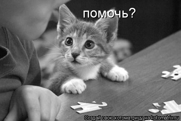 Котоматрица: помочь?