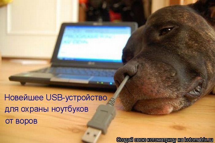 Котоматрица: Новейшее USB-устройство для охраны ноутбуков от воров