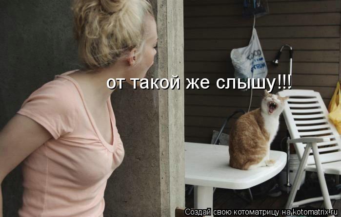 Котоматрица: от такой же слышу!!!