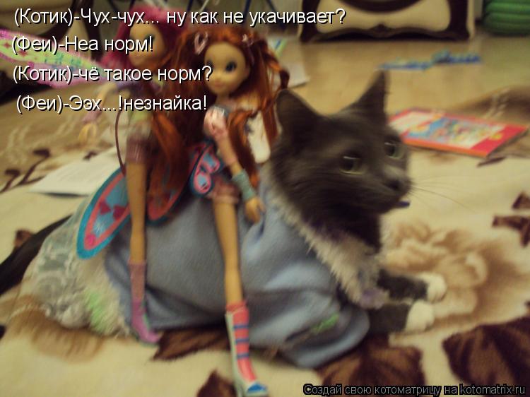 Котоматрица: (Котик)-Чух-чух... ну как не укачивает? (Феи)-Неа норм! (Котик)-чё такое норм? (Феи)-Ээх...!незнайка!