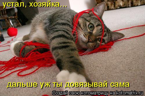 Котоматрица: устал, хозяйка... дальше уж ты довязывай сама