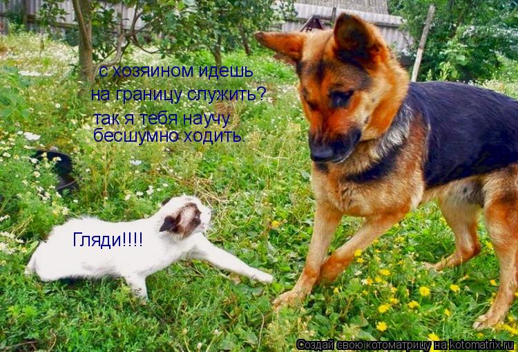 Котоматрица: с хозяином идешь на границу служить? так я тебя научу  бесшумно ходить. Гляди!!!!