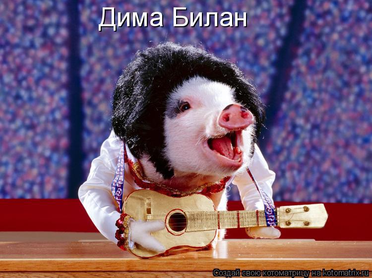 Котоматрица: Дима Билан
