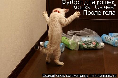 Котоматрица: Футбол для кошек Кошка "Сычёв"  После гола