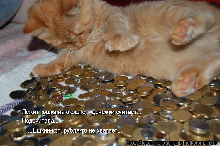 Котоматрица: Лежит кошка на окошке, - денежки считает... Подсчитала... ...Ешкин-кот, рубля-то не хватает...