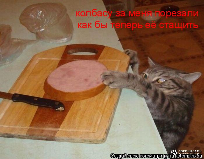 колбасу за меня порезали как бы теперь её стащить... Котоматрица: колбасу за меня порезали как бы теперь её стащить
