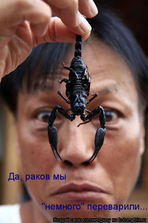 Да, раков мы "немного" переварили...... Котоматрица: Да, раков мы "немного" переварили...