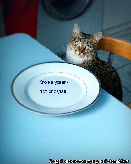 Кто не успел- тот опоздал.... Котоматрица: Кто не успел- тот опоздал.