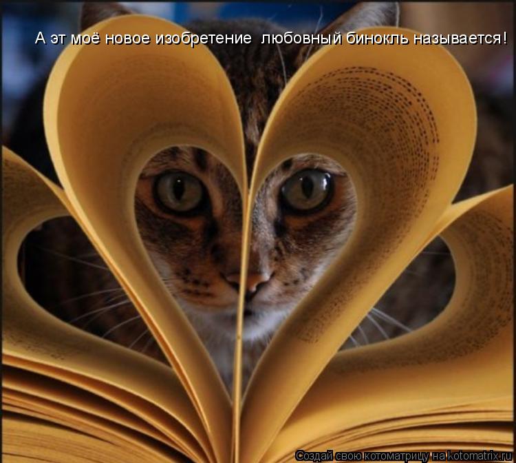 А эт моё новое изобретение любовный бинокль называется!... Котоматрица: А эт моё новое изобретение любовный бинокль называется!