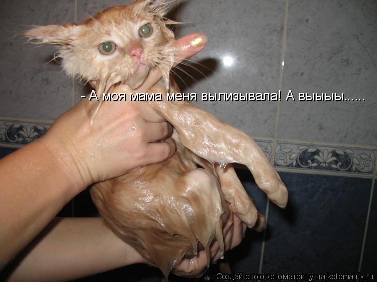 - А моя мама меня вылизывала! А выыыы......... Котоматрица: - А моя мама меня вылизывала! А выыыы......