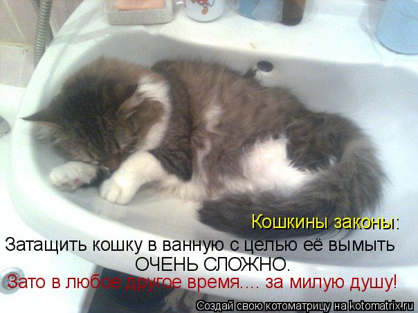 Кошкины законы: Затащить кошку в ванную с целью её вымыть ОЧЕНЬ СЛОЖНО. Зато в любое другое время....... Котоматрица: Кошкины законы: Затащить кошку в ванную с целью её вымыть ОЧЕНЬ СЛОЖНО. Зато в любое другое время.... за милую душу!