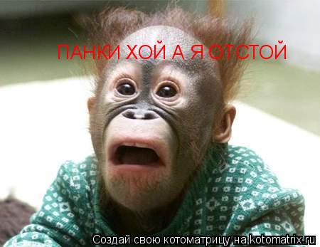 ПАНКИ ХОЙ А Я ОТСТОЙ... Котоматрица: ПАНКИ ХОЙ А Я ОТСТОЙ