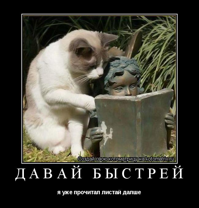 Давай быстрей я уже прочитал листай далше... Котоматрица: Давай быстрей я уже прочитал листай далше