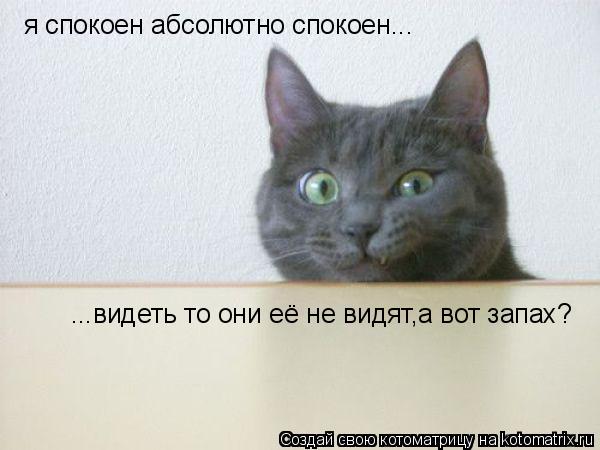 Котоматрица: я спокоен абсолютно спокоен... ...видеть то они её не видят,а вот запах?