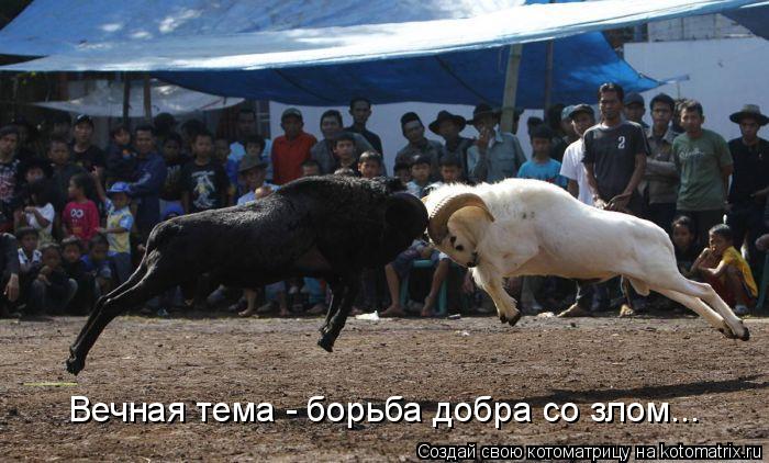 Котоматрица: Вечная тема - борьба добра со злом...