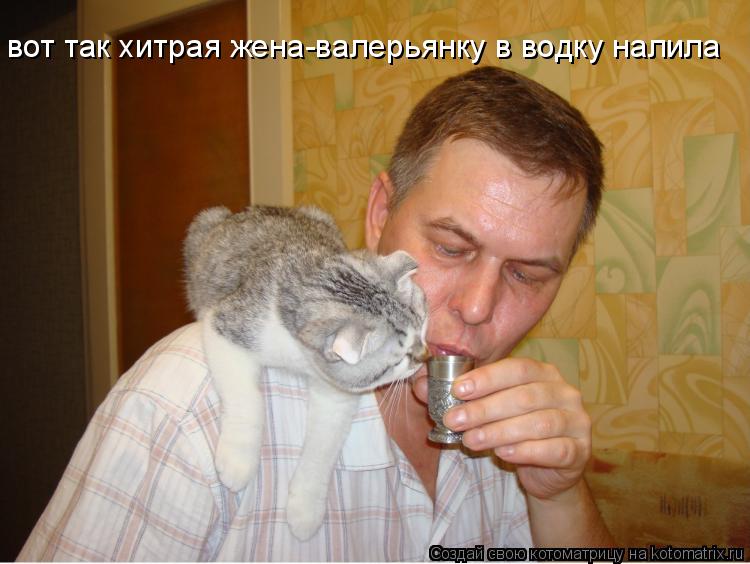 Котоматрица: вот так хитрая жена-валерьянку в водку налила