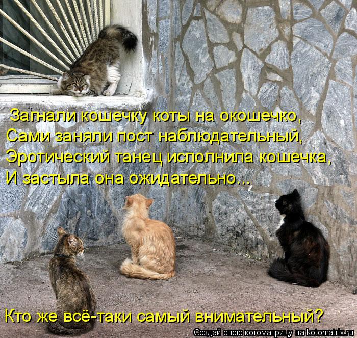 Загнали кошечку коты на окошечко, Сами заняли пост наблюдательный, Эротический танец исполнила кошечк... Котоматрица: Загнали кошечку коты на окошечко, Сами заняли пост наблюдательный, Эротический танец исполнила кошечка, И застыла она ожидательно... Кто же