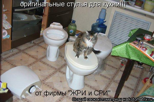 Котоматрица: оригинальные стулья для кухни!!!  от фирмы "ЖРИ и СРИ"