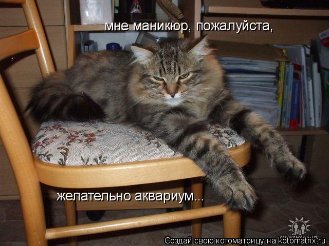 мне маникюр, пожалуйста, желательно аквариум...... Котоматрица: мне маникюр, пожалуйста, желательно аквариум...