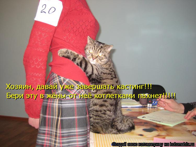 Хозяин, давай уже завершать кастинг!!! Бери эту в жёны-от неё котлетками пахнет!!!!!... Котоматрица: Хозяин, давай уже завершать кастинг!!! Бери эту в жёны-от неё котлетками пахнет!!!!!