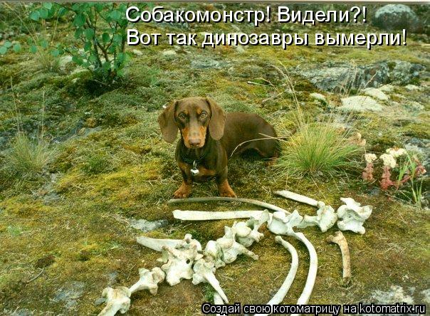 Собакомонстр! Видели?! Вот так динозавры вымерли!... Котоматрица: Собакомонстр! Видели?! Вот так динозавры вымерли!