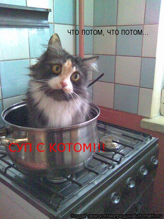 что потом, что потом... СУП С КОТОМ!!!... Котоматрица: что потом, что потом... СУП С КОТОМ!!!