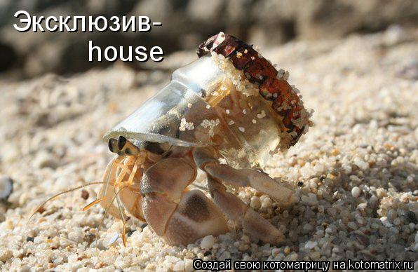 Эксклюзив- house... Котоматрица: Эксклюзив- house