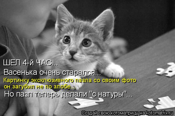 Васенька очень старался... Но пазл теперь делали "с натуры"... ШЕЛ 4-й ЧАС... Картинку эксклюзивного ... Котоматрица: Васенька очень старался... Но пазл теперь делали "с натуры"... ШЕЛ 4-й ЧАС... Картинку эксклюзивного пазла со своим фото он загубил не по злобе...