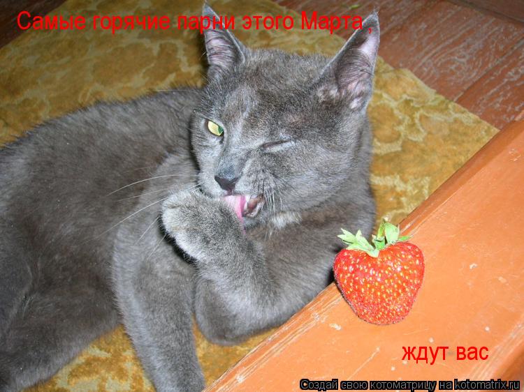 Самые горячие парни этого Марта ждут вас ,... Котоматрица: Самые горячие парни этого Марта ждут вас ,