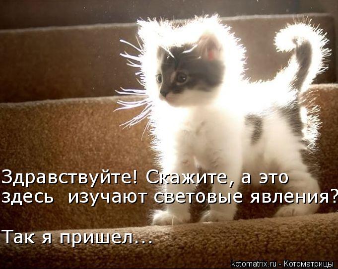 Здравствуйте! Скажите, а это здесь изучают световые явления? Так я пришел...... Котоматрица: Здравствуйте! Скажите, а это здесь изучают световые явления? Так я пришел...