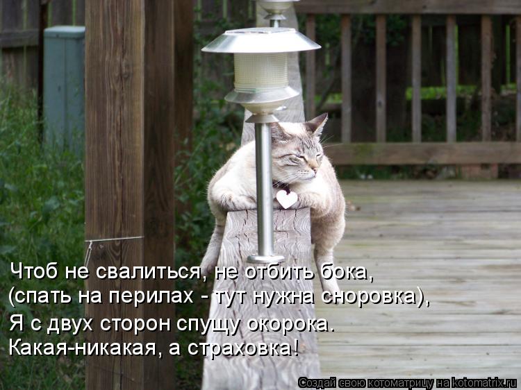 Котоматрица: Чтоб не свалиться, не отбить бока, (спать на перилах - тут нужна сноровка), Я с двух сторон спущу окорока. Какая-никакая, а страховка!