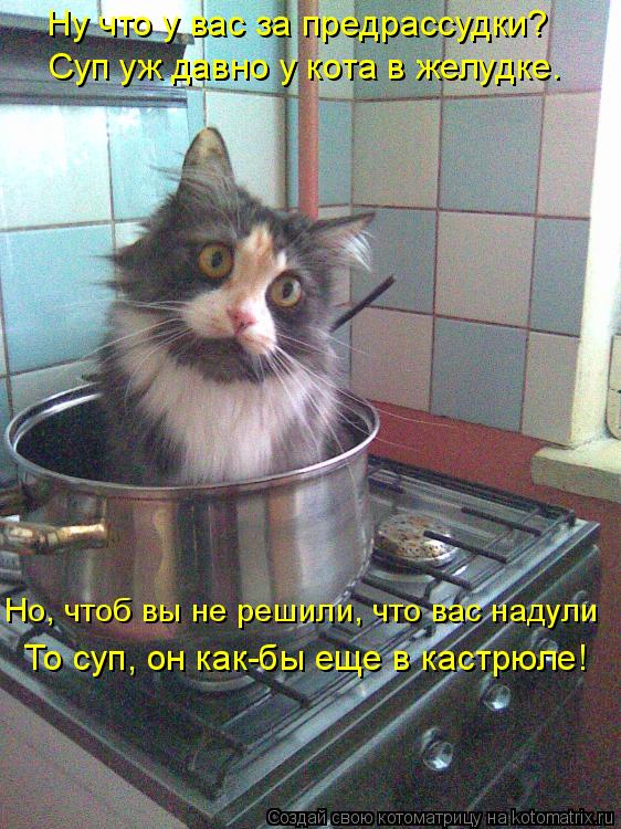Ну что у вас за предрассудки? Суп уж давно у кота в желудке. Но, чтоб вы не решили, что вас надули То... Котоматрица: Ну что у вас за предрассудки? Суп уж давно у кота в желудке. Но, чтоб вы не решили, что вас надули То суп, он как-бы еще в кастрюле!