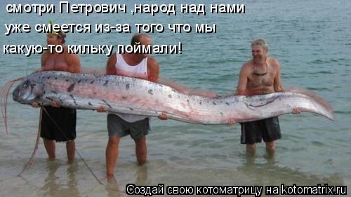 смотри Петрович ,народ над нами уже смеется из-за того что мы какую-то кильку поймали!... Котоматрица: смотри Петрович ,народ над нами уже смеется из-за того что мы какую-то кильку поймали!