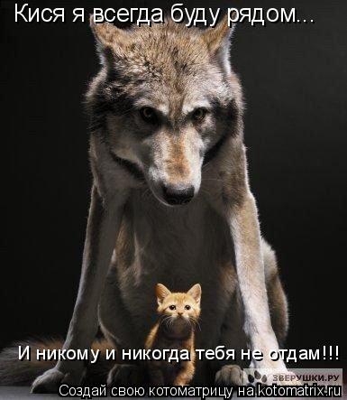 Кися я всегда буду рядом... И никому и никогда тебя не отдам!!!... Котоматрица: Кися я всегда буду рядом... И никому и никогда тебя не отдам!!!