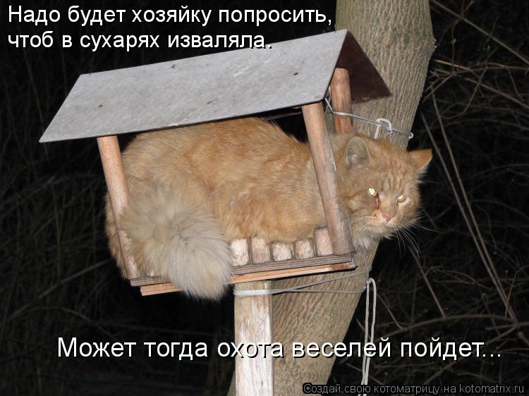 Надо будет хозяйку попросить, чтоб в сухарях изваляла. Может тогда охота веселей пойдет...... Котоматрица: Надо будет хозяйку попросить, чтоб в сухарях изваляла. Может тогда охота веселей пойдет...