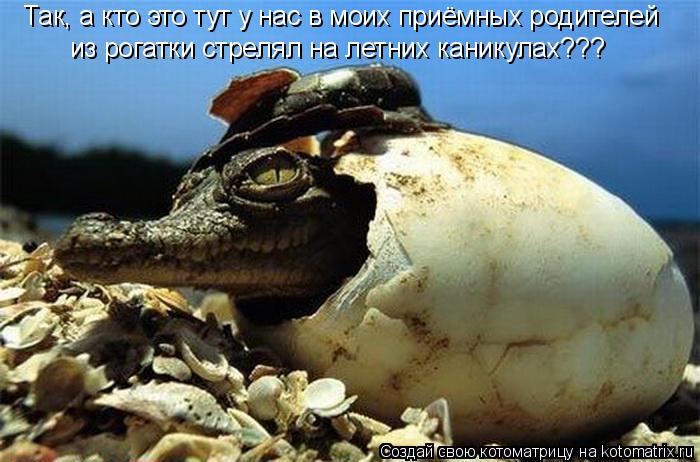 Так, а кто это тут у нас в моих приёмных родителей из рогатки стрелял на летних каникулах???... Котоматрица: Так, а кто это тут у нас в моих приёмных родителей из рогатки стрелял на летних каникулах???