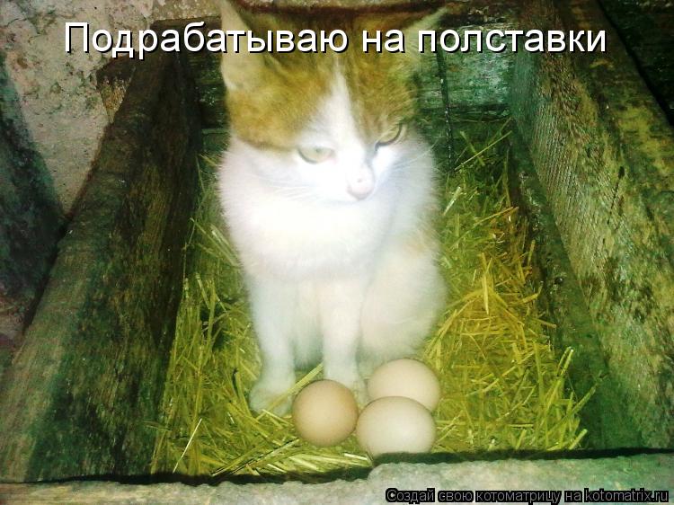 Подрабатываю на полставки... Котоматрица: Подрабатываю на полставки