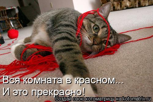 Вся комната в красном... И это прекрасно!... Котоматрица: Вся комната в красном... И это прекрасно!