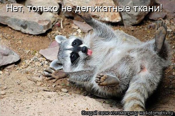Нет, только не деликатные ткани!... Котоматрица: Нет, только не деликатные ткани!