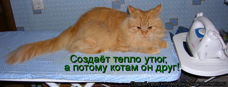 Создаёт тепло утюг, а потому котам он друг!... Котоматрица: Создаёт тепло утюг, а потому котам он друг!