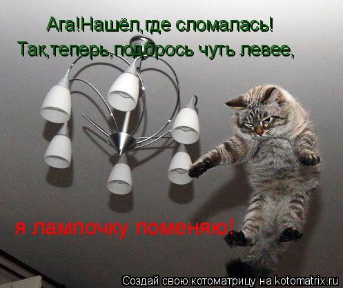 Ага!Нашёл,где сломалась! Так,теперь,подбрось чуть левее, я лампочку поменяю!... Котоматрица: Ага!Нашёл,где сломалась! Так,теперь,подбрось чуть левее, я лампочку поменяю!