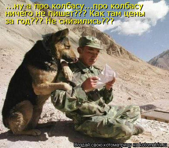 ...ну а про колбасу...про колбасу ничего не пишет??? Как там цены за год??? Не снизились???... Котоматрица: ...ну а про колбасу...про колбасу ничего не пишет??? Как там цены за год??? Не снизились???