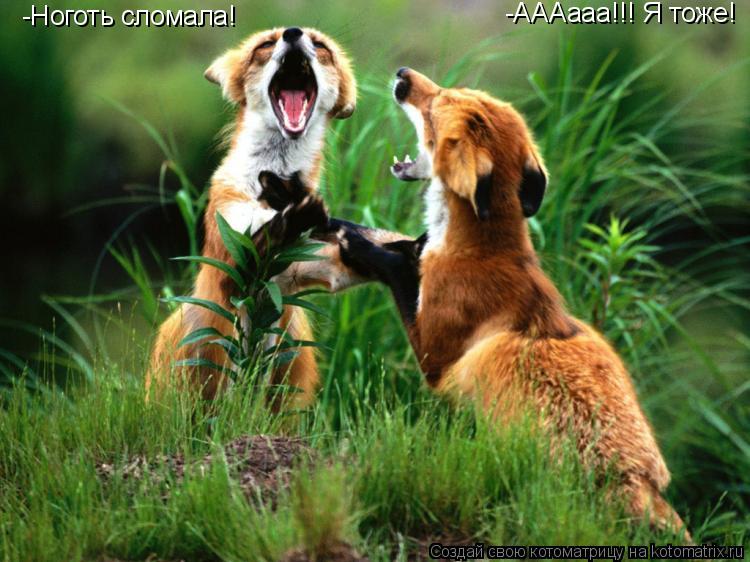 -Ноготь сломала! -АААааа!!! Я тоже!... Котоматрица: -Ноготь сломала! -АААааа!!! Я тоже!