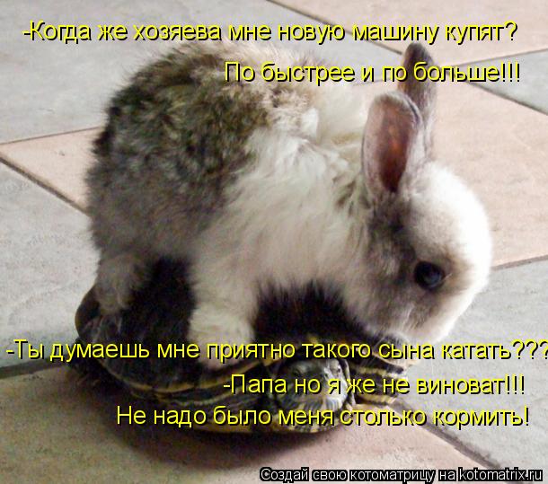 По быстрее и по больше!!! -Когда же хозяева мне новую машину купят? -Ты думаешь мне приятно такого сы... Котоматрица: По быстрее и по больше!!! -Когда же хозяева мне новую машину купят? -Ты думаешь мне приятно такого сына катать??? -Папа но я же не виноват!!! Не н