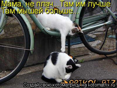 Мама, не плач...Там им лучше Там мышей больше...... Котоматрица: Мама, не плач...Там им лучше Там мышей больше...