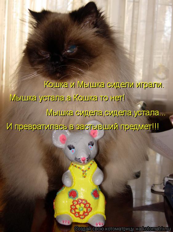 Кошка и Мышка сидели играли. Мышка устала,а Кошка то нет! Мышка сидела,сидела,устала... И превратилас... Котоматрица: Кошка и Мышка сидели играли. Мышка устала,а Кошка то нет! Мышка сидела,сидела,устала... И превратилась в застывший предмет!!!