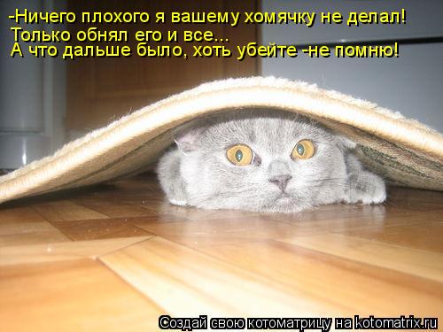 -Ничего плохого я вашему хомячку не делал! Только обнял его и все... А что дальше было, хоть убейте -... Котоматрица: -Ничего плохого я вашему хомячку не делал! Только обнял его и все... А что дальше было, хоть убейте -не помню!